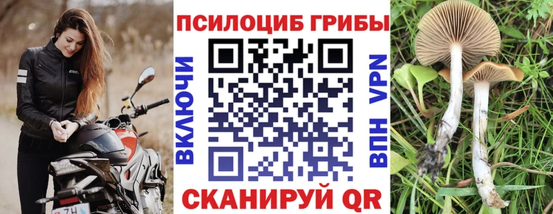 hydra как зайти Ахтубинск Галлюциногенные грибы MAGIC MUSHROOMS
